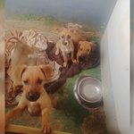 para fotos de la web (61)