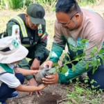 reforestacion