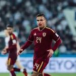 vinotinto