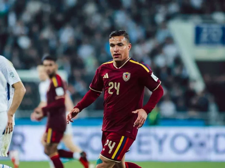 vinotinto