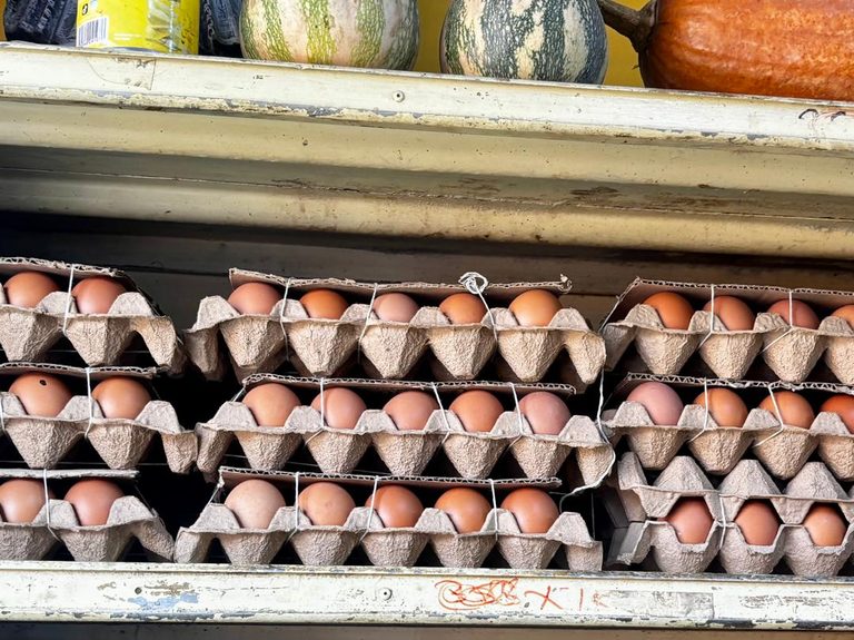 huevos