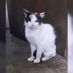 para fotos de la web (11)