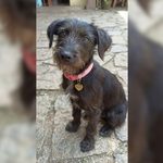 para fotos de la web (46)