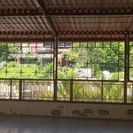 para fotos de la web (48)