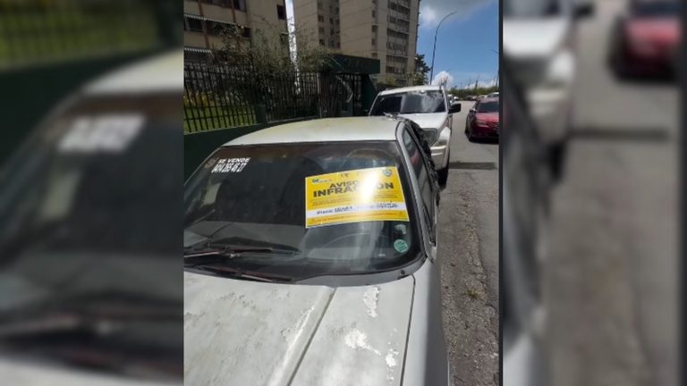 para fotos de la web (82)