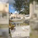 para fotos de la web (9)