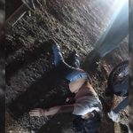 para fotos de la web