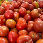 tomate