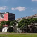 ucv-696x397