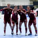 vinotinto