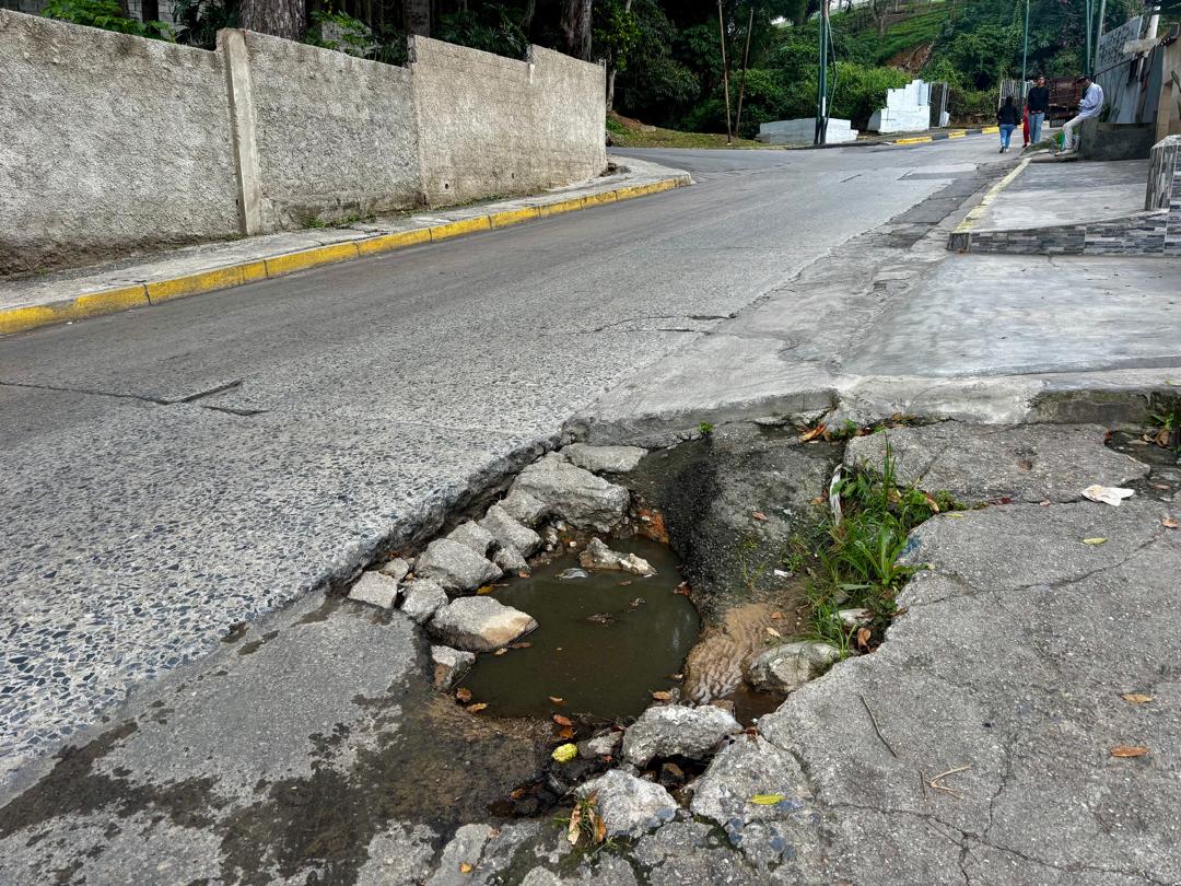 53197016-8b2a-4e2d-9c6a-97b3b8bf198f