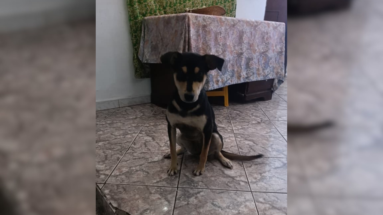 para fotos de la web (1)