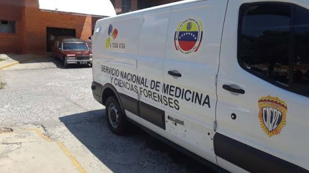 para fotos de la web (2)