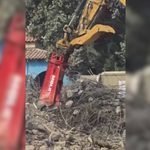 para fotos de la web (25)