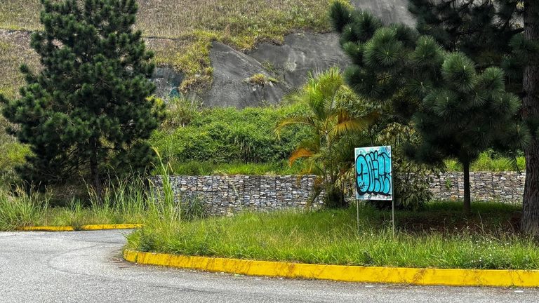 para fotos de la web (29)