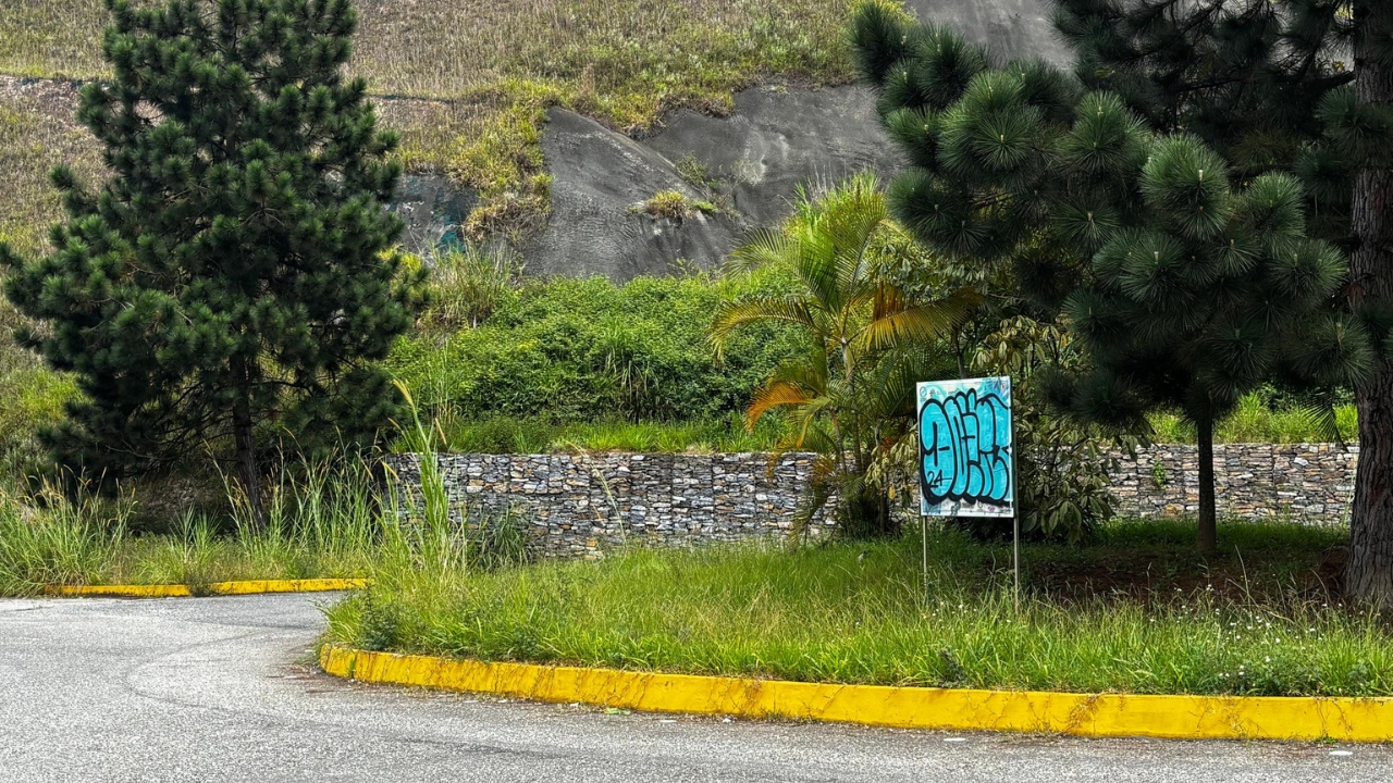para fotos de la web (29)