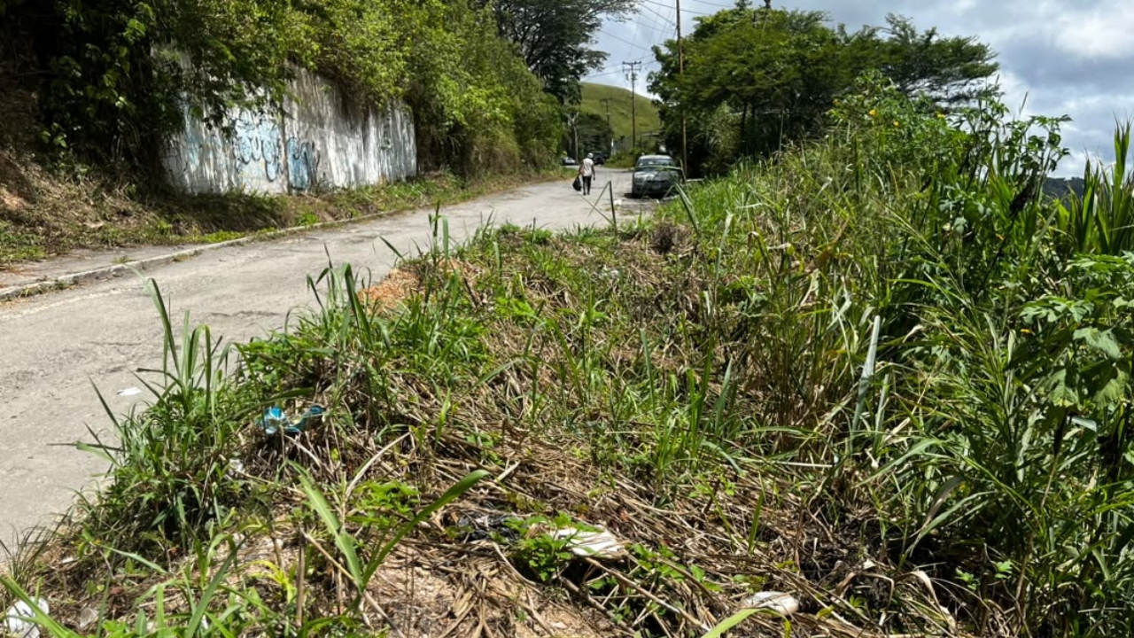 para fotos de la web (41)