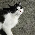 para fotos de la web (91)