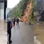 para fotos de la web (92)
