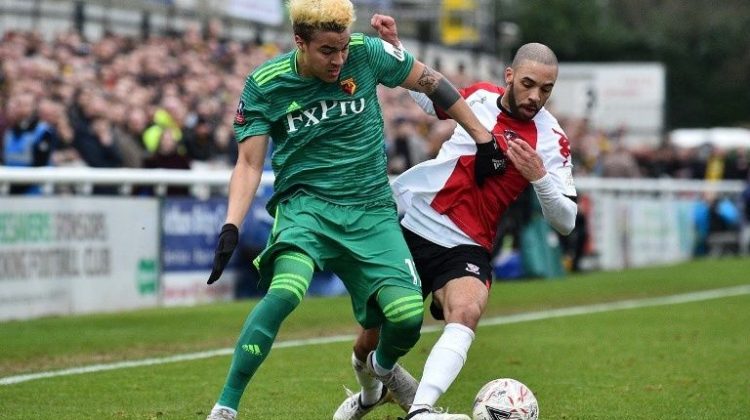 000_1c03tx.jpg_1896056196