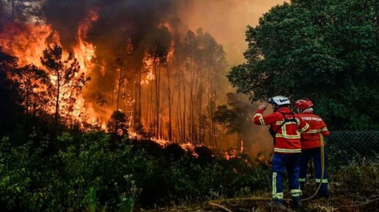 1 Combaten incendios