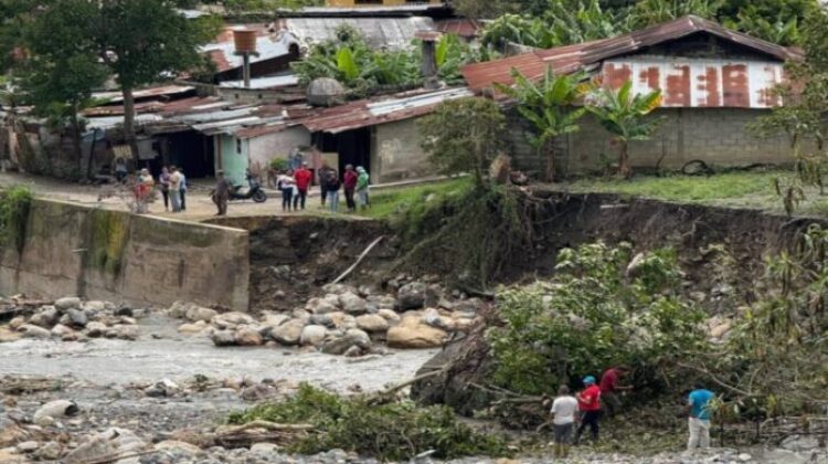 1 Contabilizan 310 familias