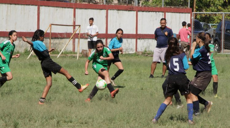 1.- Un pasaje entre ganadoras y perdedoras