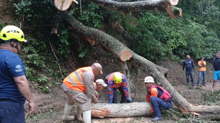 1.2 Ocumare de la costa