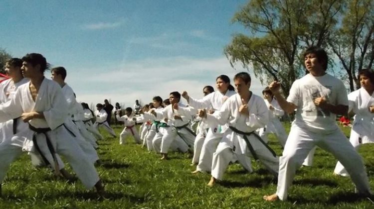 16097-dia-mundial-del-karate-3