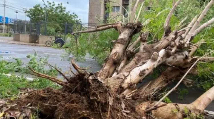 2 44 litros de lluvia