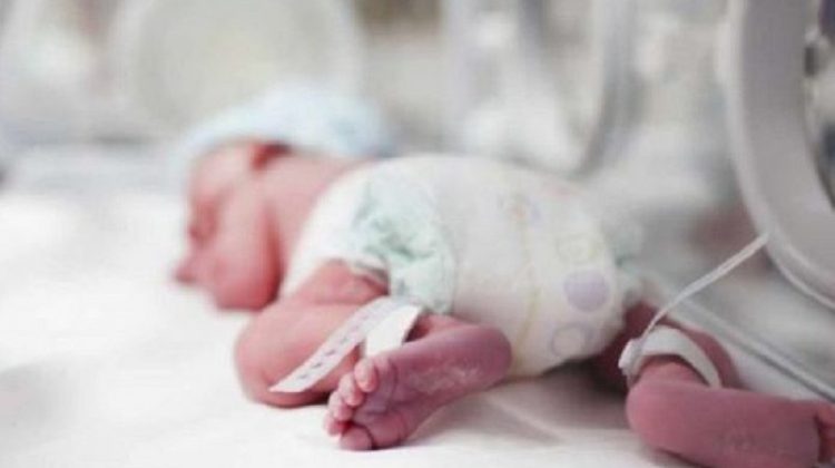 3 Desnutrición-neonatal
