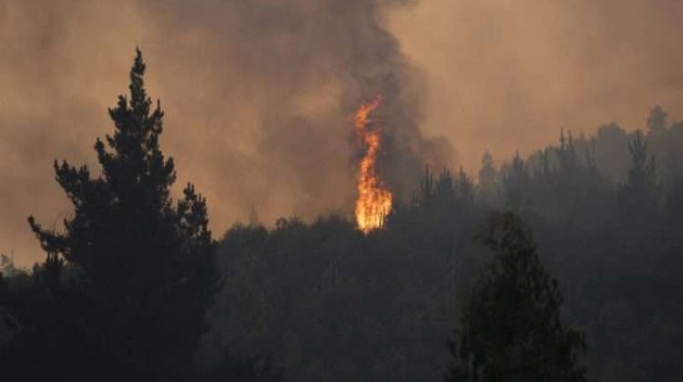 3 Incendio-Chile