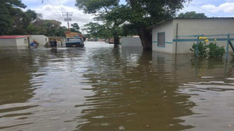 3 Más de 1500 damnificados