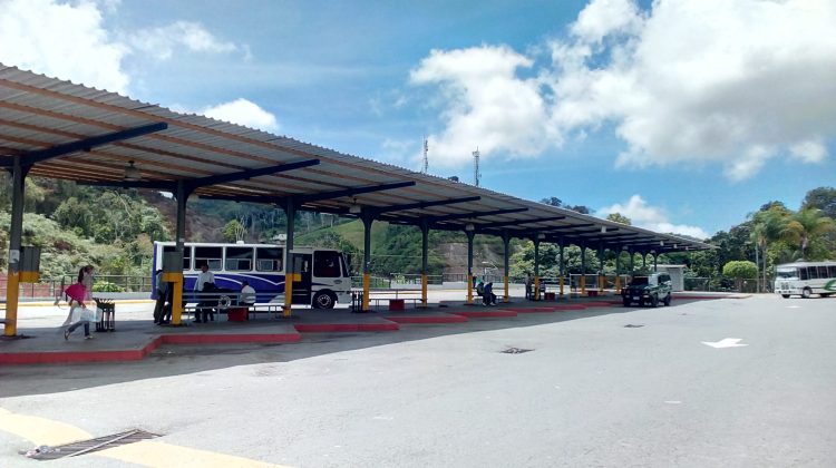3 Terminal de autobus los lagos