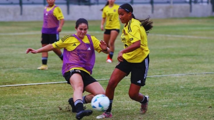 3 Vinotinto femenina