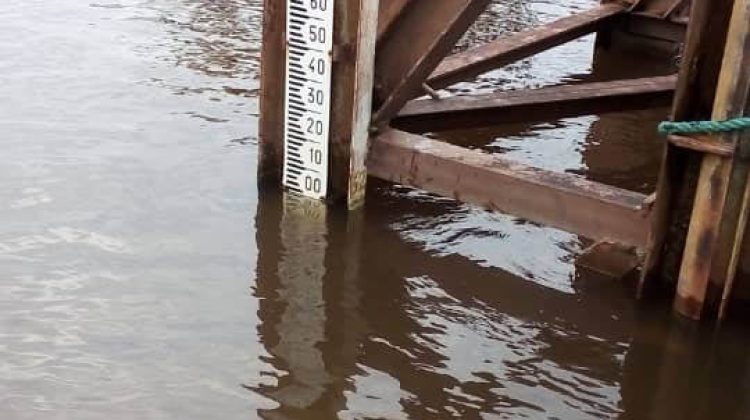 3 rio-orinoco-foto