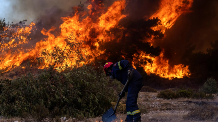 4-Mas-de-50-hectareas