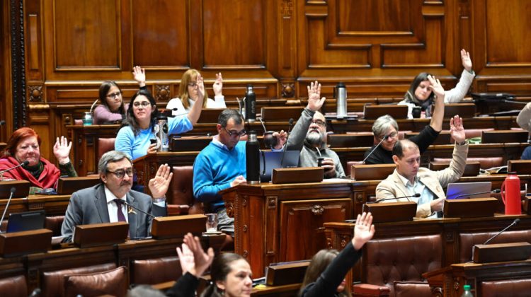 AME9423. MONTEVIDEO (URUGUAY), 12/08/2025.- Diputados reaccionan durante una sesión en la Cámara Baja este martes, en Montevideo (Uruguay). La Cámara de Representantes de Uruguay comenzó a debatir el proyecto de ley 'Muerte digna', que tiene por objeto legalizar la eutanasia en el país. EFE/ Federico Gutiérrez