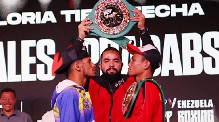 4 campeonato-boxeo-minimosca