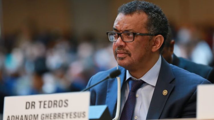 4 director-general-de-la-organizacion