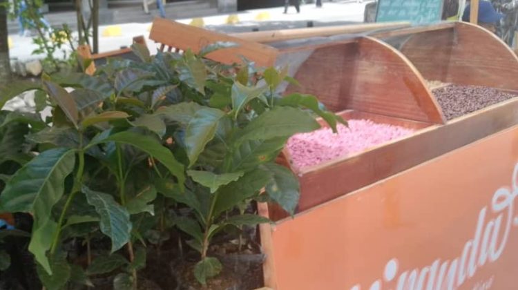 48bd25ea-31a0-4730-85fe-cc361918dff1