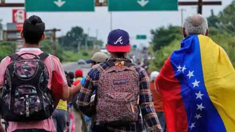 5 migrantes