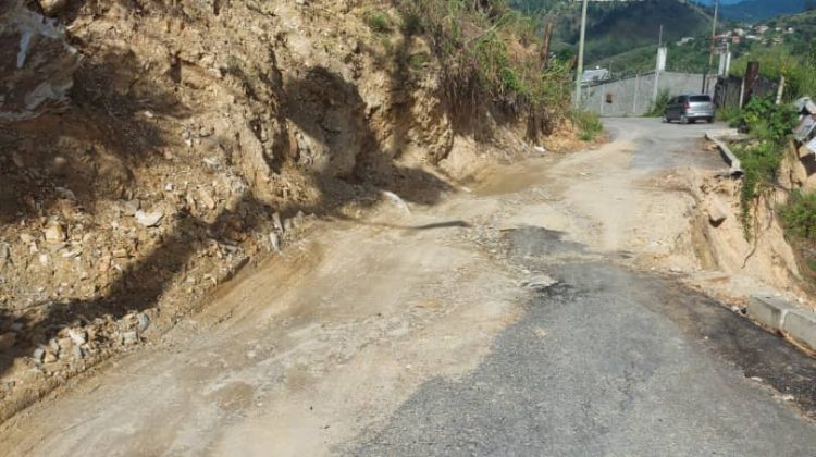 505591ea-12a7-4104-bb01-b911674b25f4