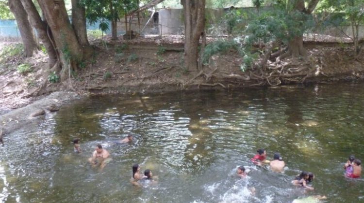 55481139-96b4-42bd-a755-8354b9991cce