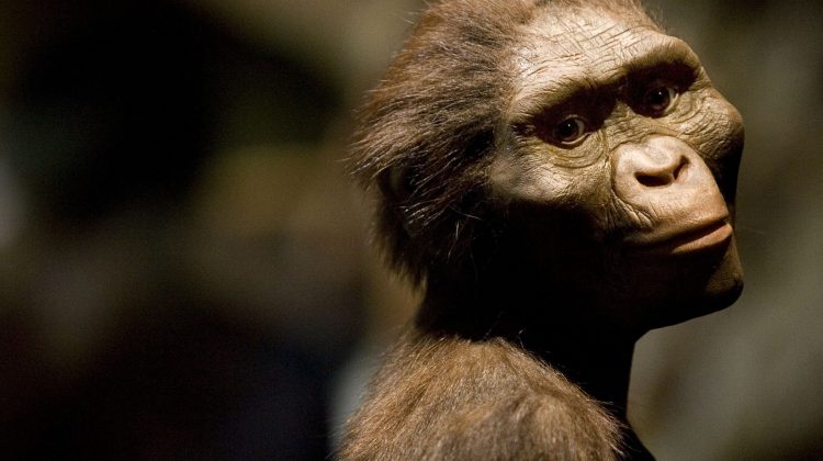 "Lucy" Exhibit To Open In Houston Amid Protests