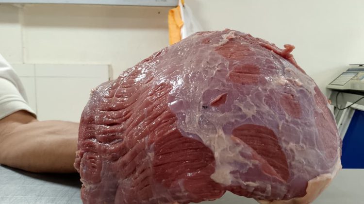 6a30f2d5-81d0-4a00-866c-e033226de02a