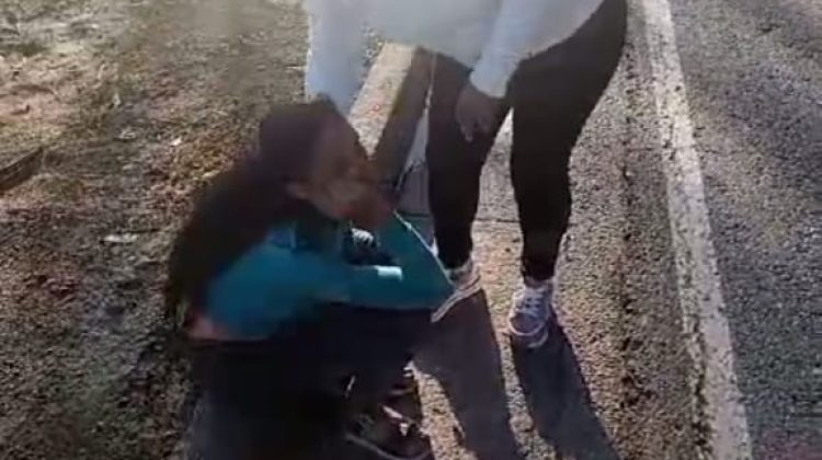 6e240f91-8977-43d1-a55d-101144474b67