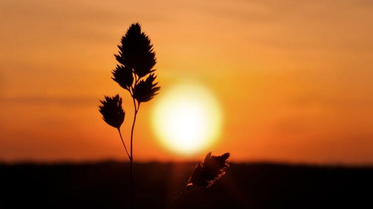 7037641-best-sunset-hd-wallpaper