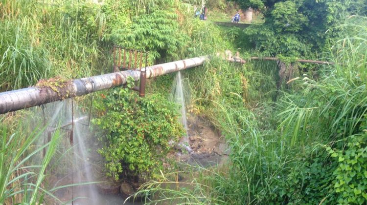 7f0fb2d3-0e01-411a-bfec-f3c64dce9886