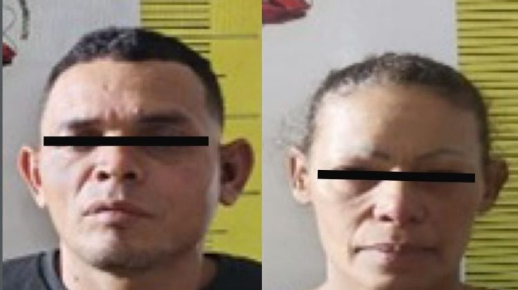 87491088-f2b2-45f1-a1db-b8a18b9195d3